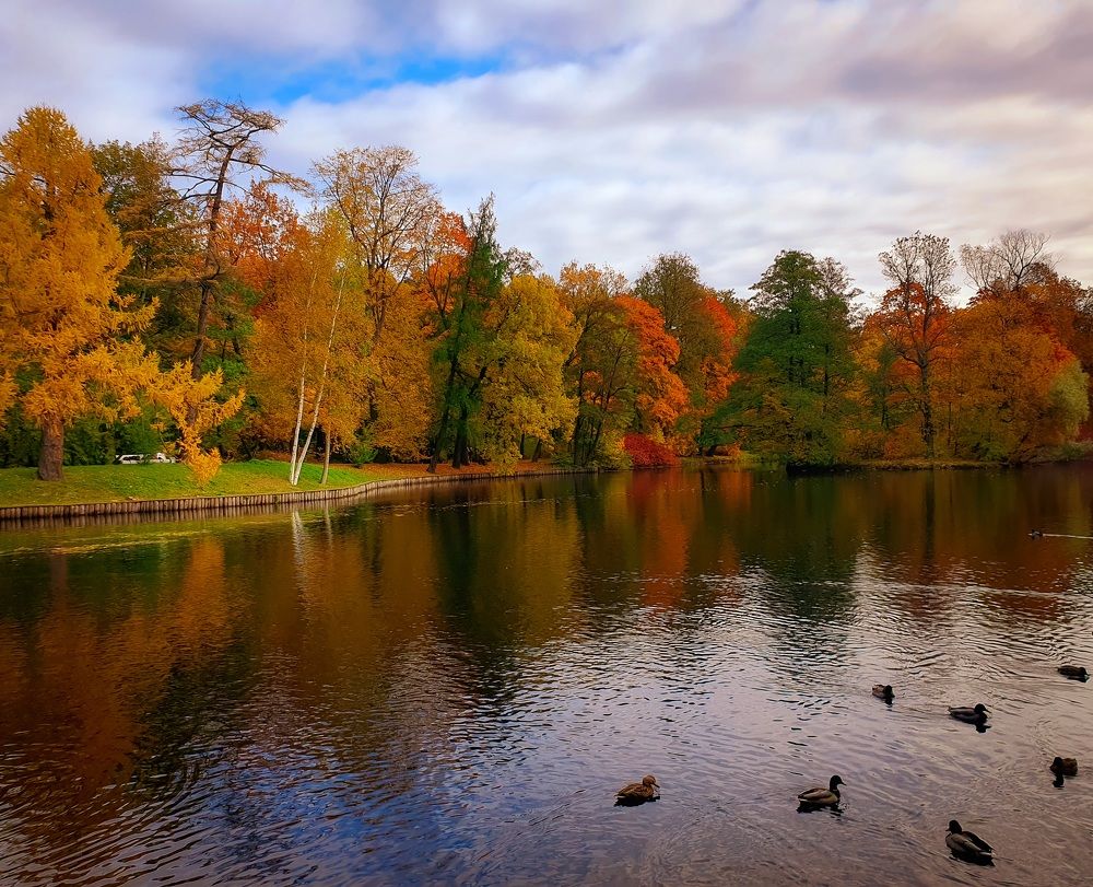 Фотография автора Inna Evseeva