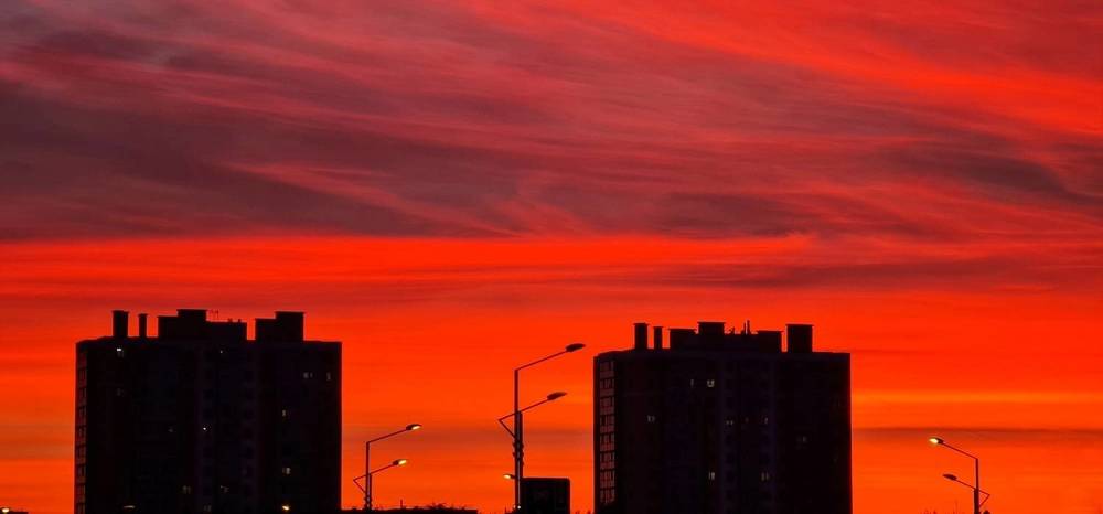 Photograph by Natasha Kim