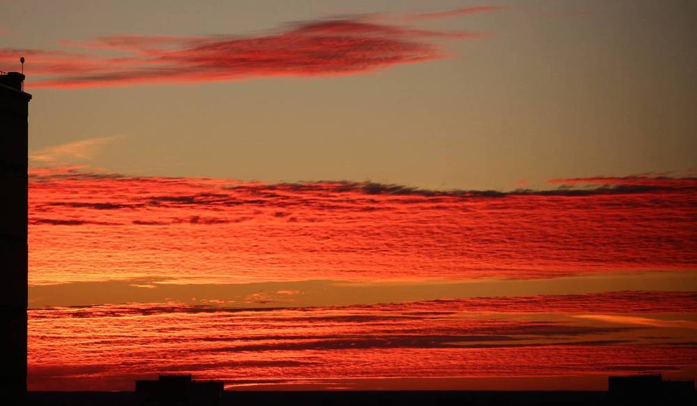 Photograph by Natasha Kim