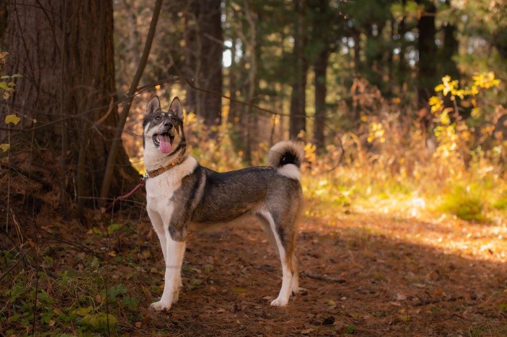 Photograph by Лина Матвеева