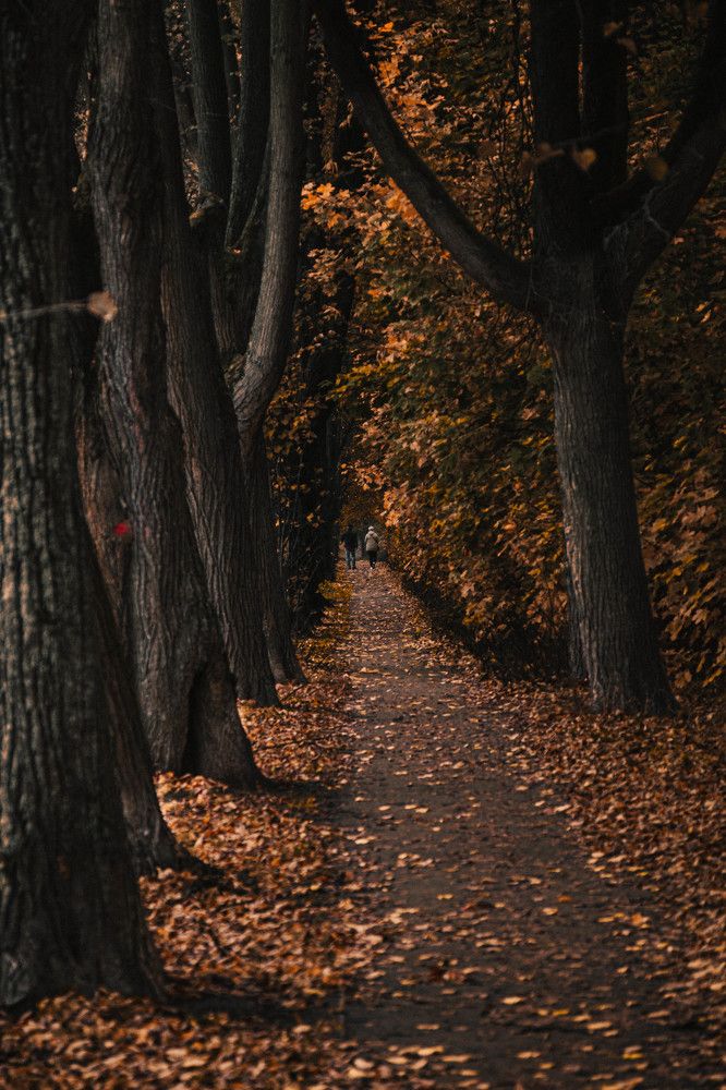 Photograph by Антон Киптиков