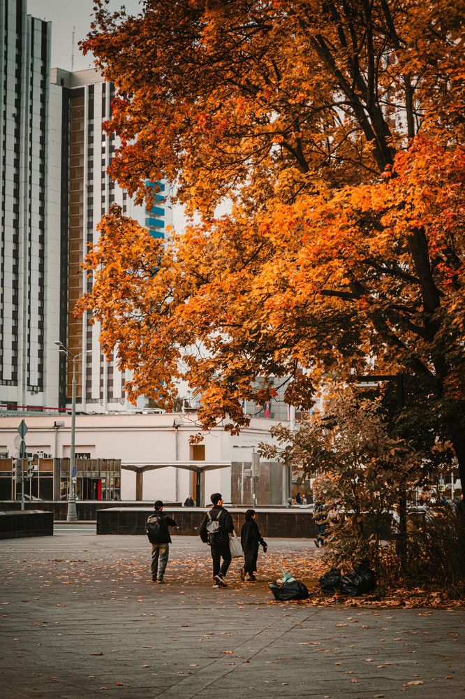 Photograph by Антон Киптиков