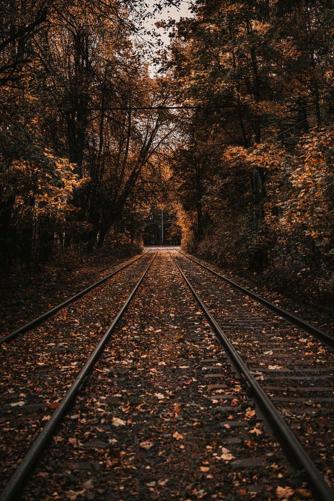 Photograph by Антон Киптиков