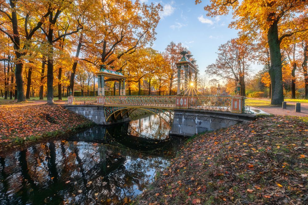 Photograph by Alexander Pashenichev