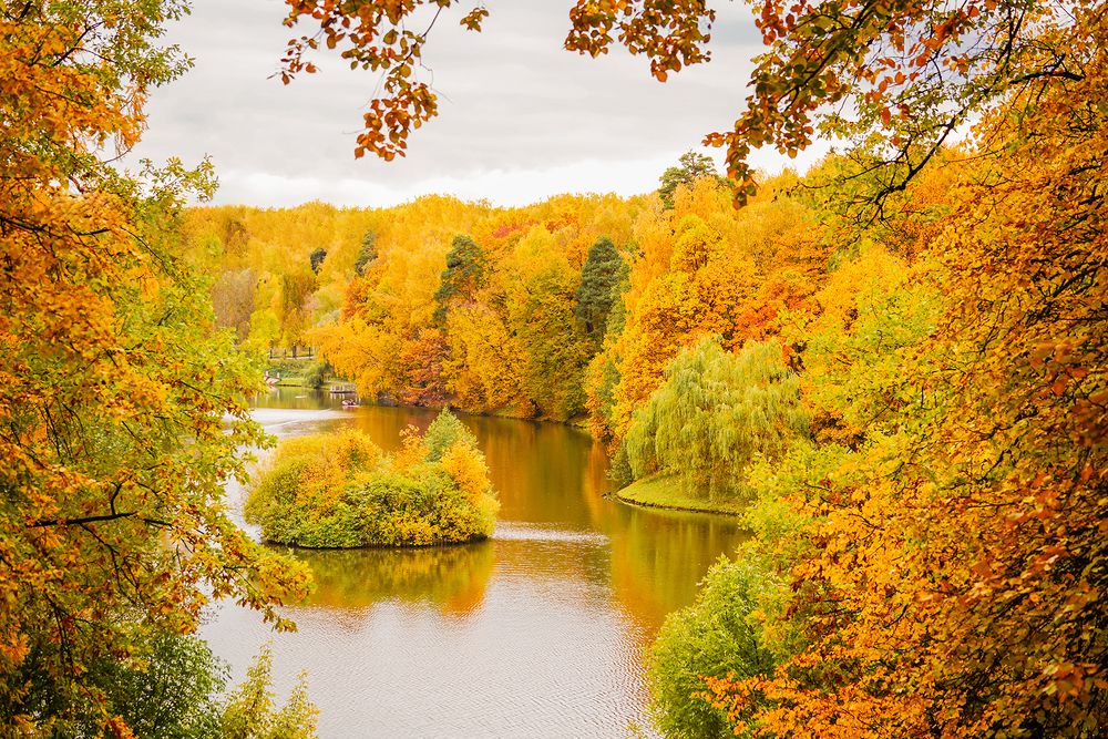 золотая осень