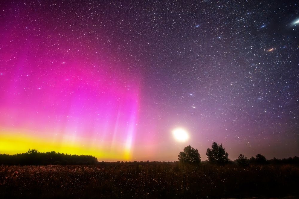 Photograph by Антон Градобоев