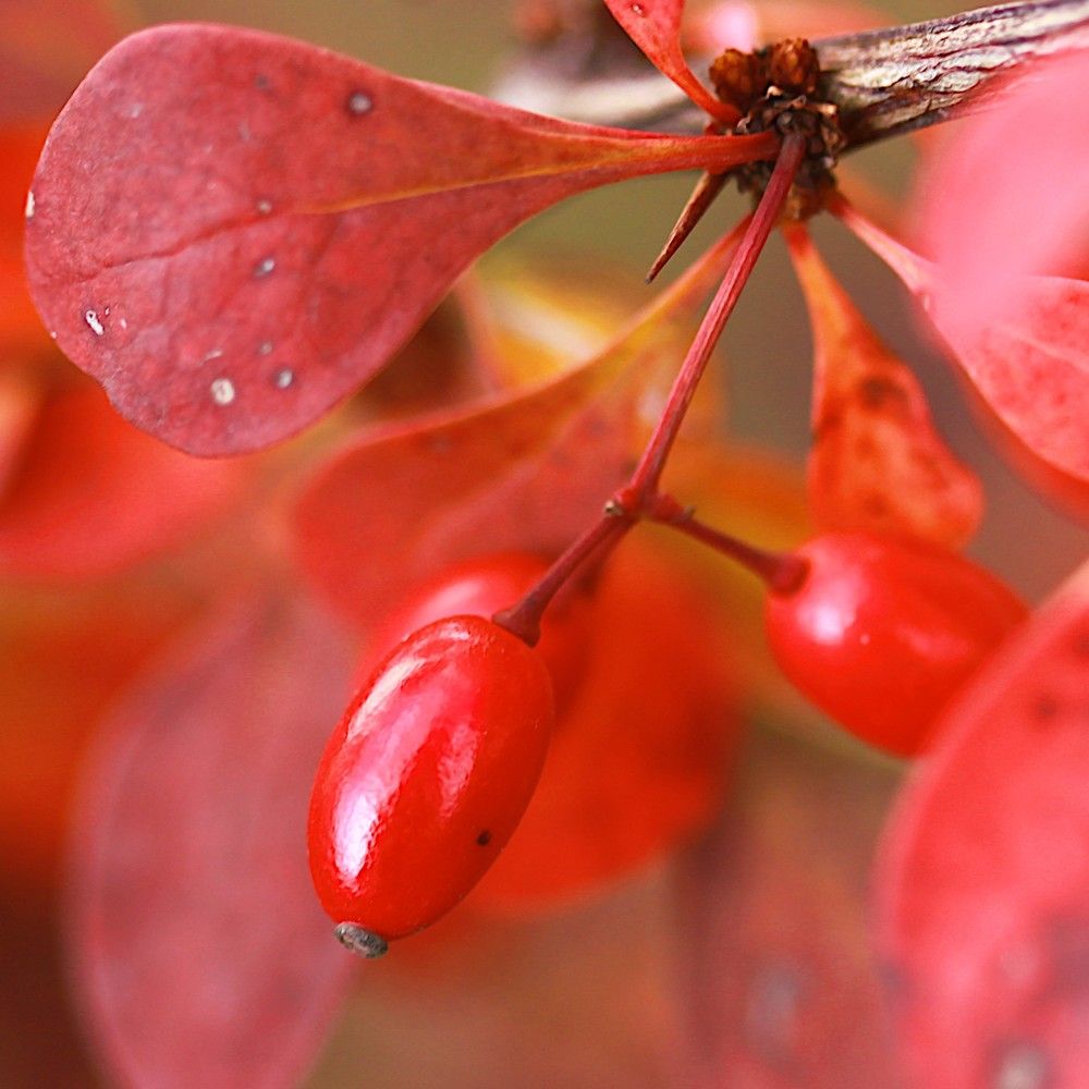 Photograph by Гагик Саркисян