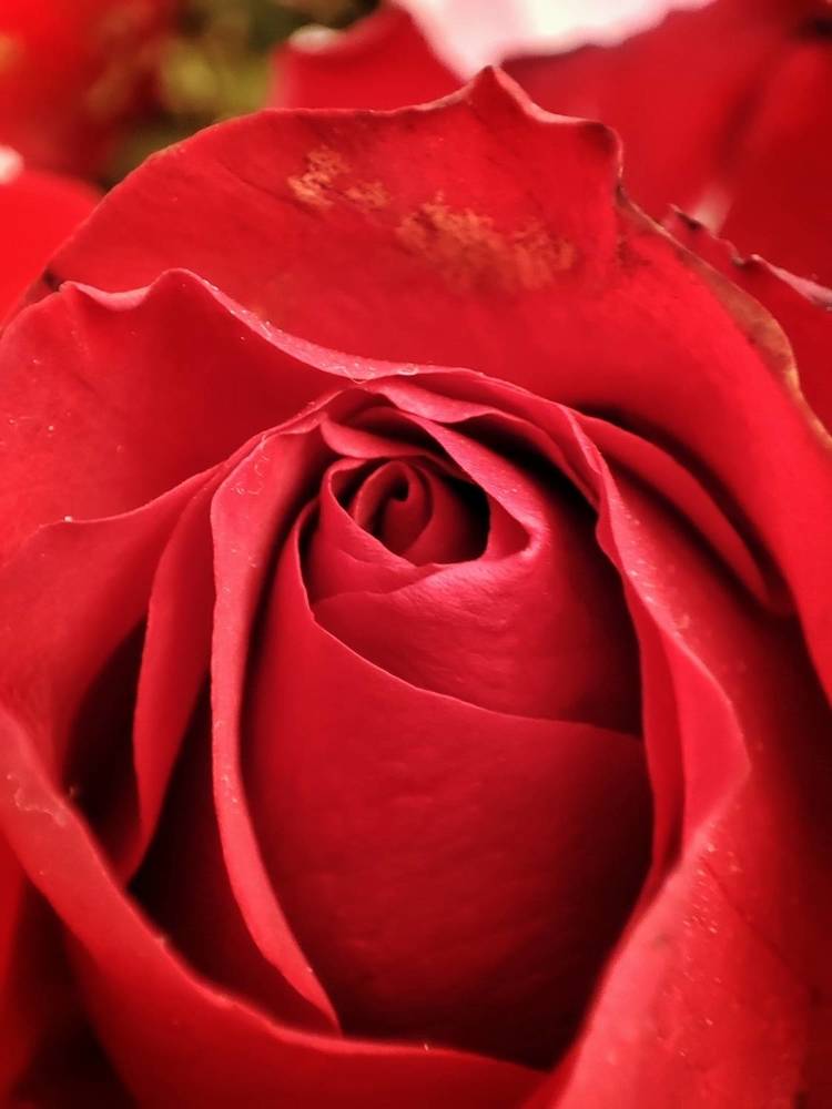 Photograph by Meilany Wijaya