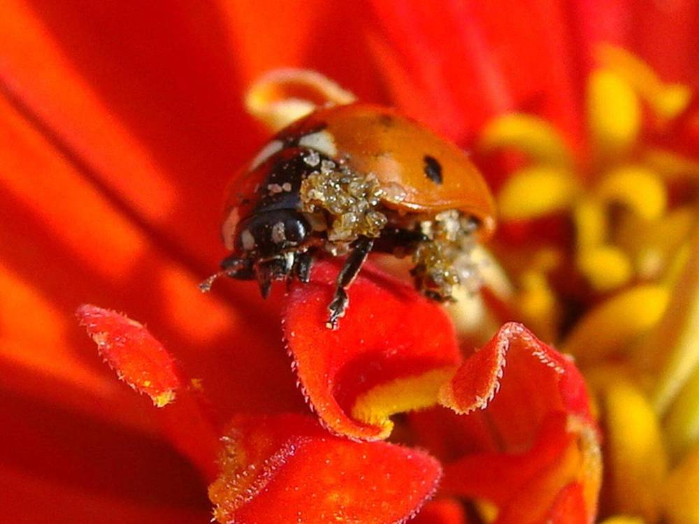 Фотография автора Павел Попов