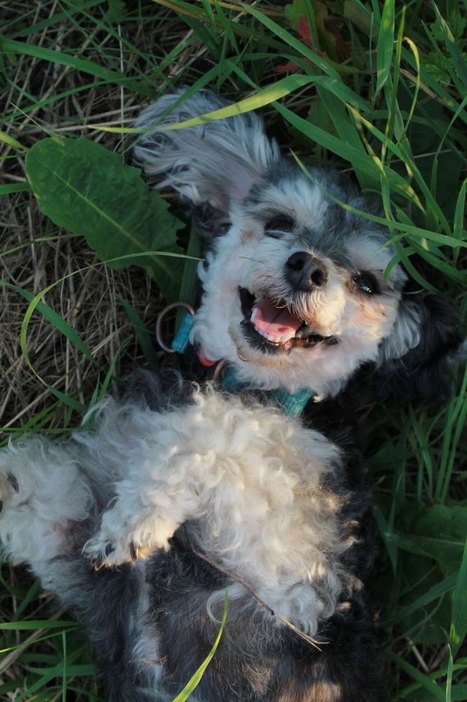 Photograph by Мария Раззувайло