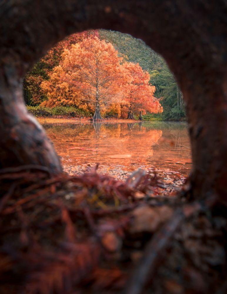 Photograph by Valdir Hobus