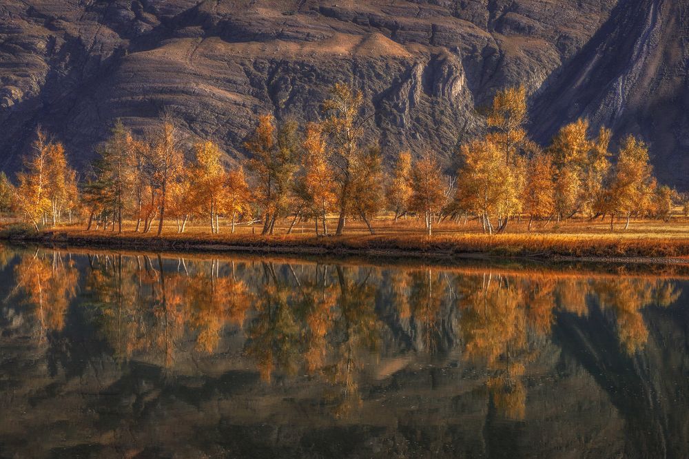 Photograph by Гусева Елена