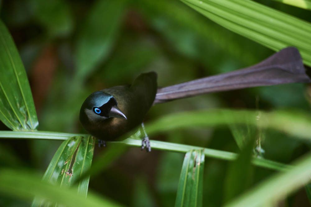 Photograph by Дмитрий Солодухин