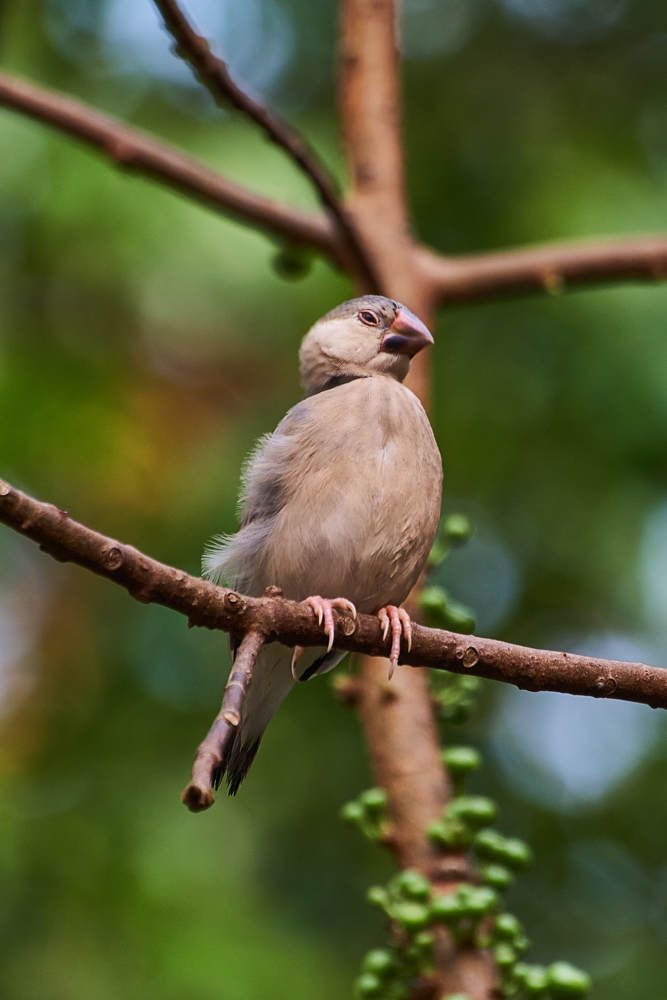 Photograph by Дмитрий Солодухин