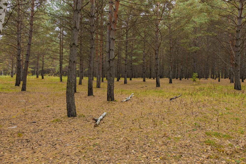 Photograph by Вячеслав Анатольевич