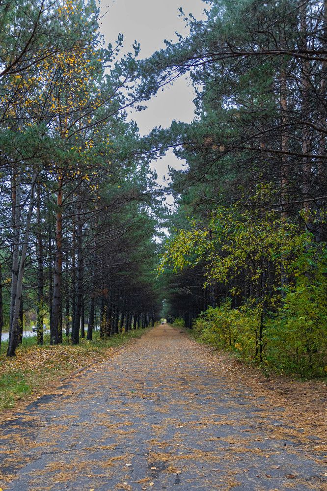 Photograph by Вячеслав Анатольевич