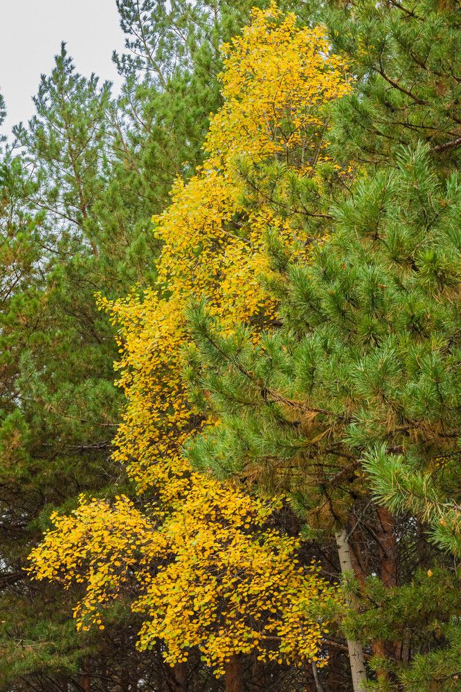 Photograph by Вячеслав Анатольевич