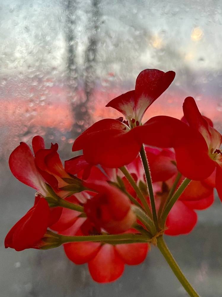 Photograph by Светлана Хохлова