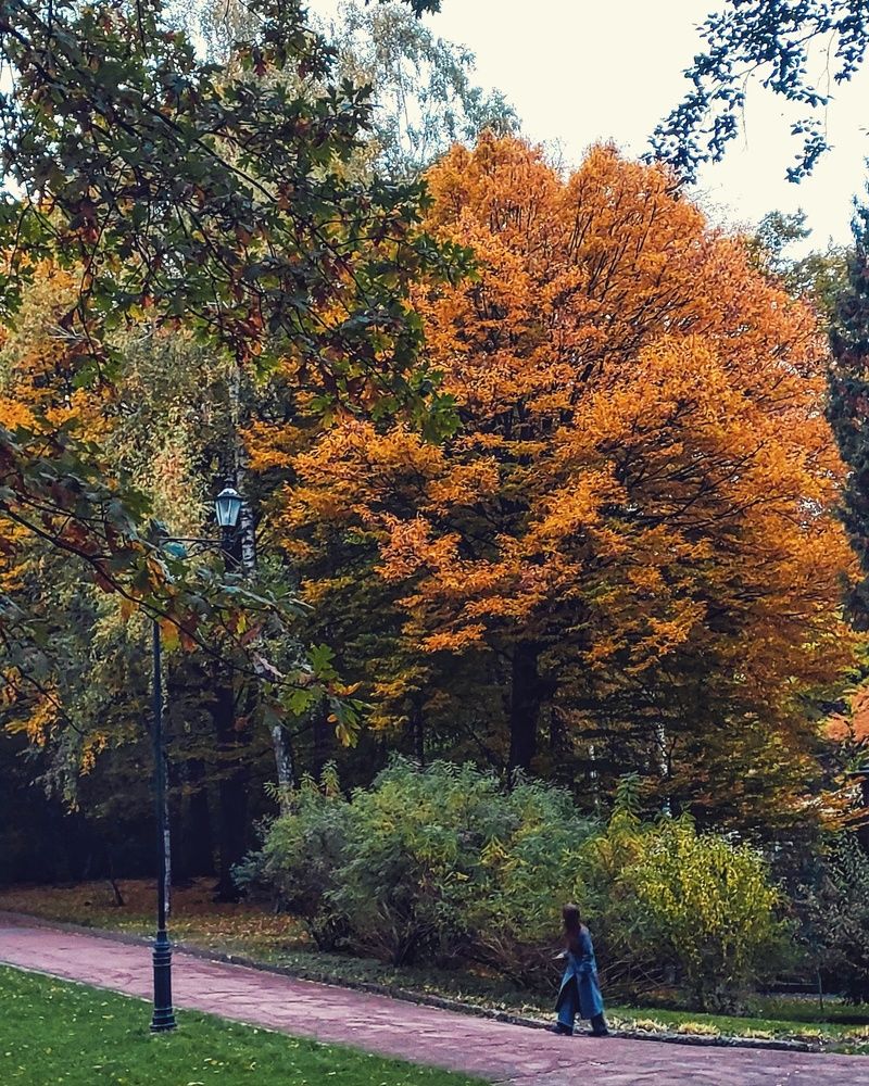 Photograph by Наталия Дроздова