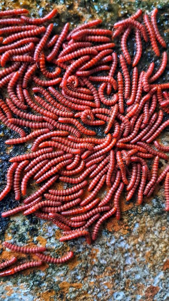 Photograph by Sandy Daniel