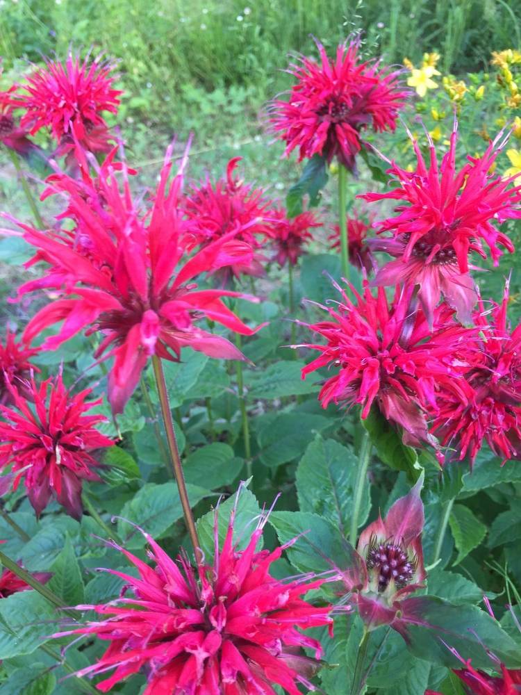 Photograph by Светлана Петрова