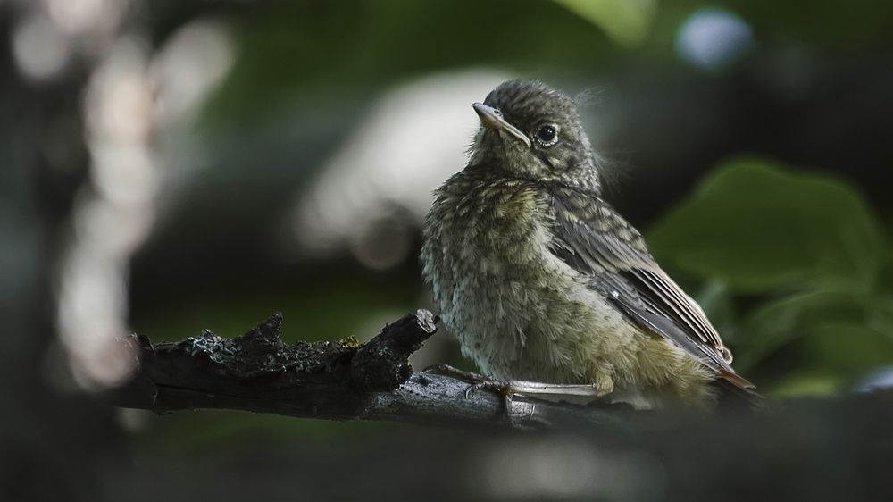 Photograph by Алексей Парамонов