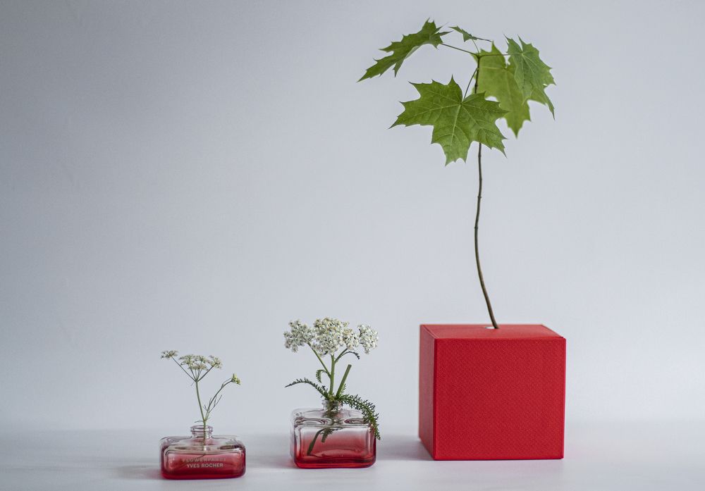 Photograph by Светлана Тарханова