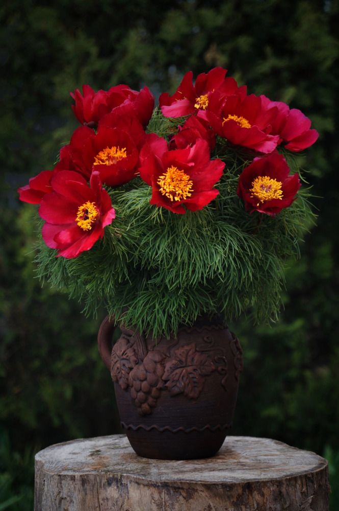 Photograph by Ирина Чувило
