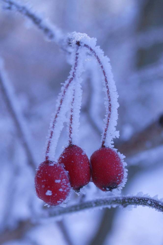 Photograph by Ирина Чувило