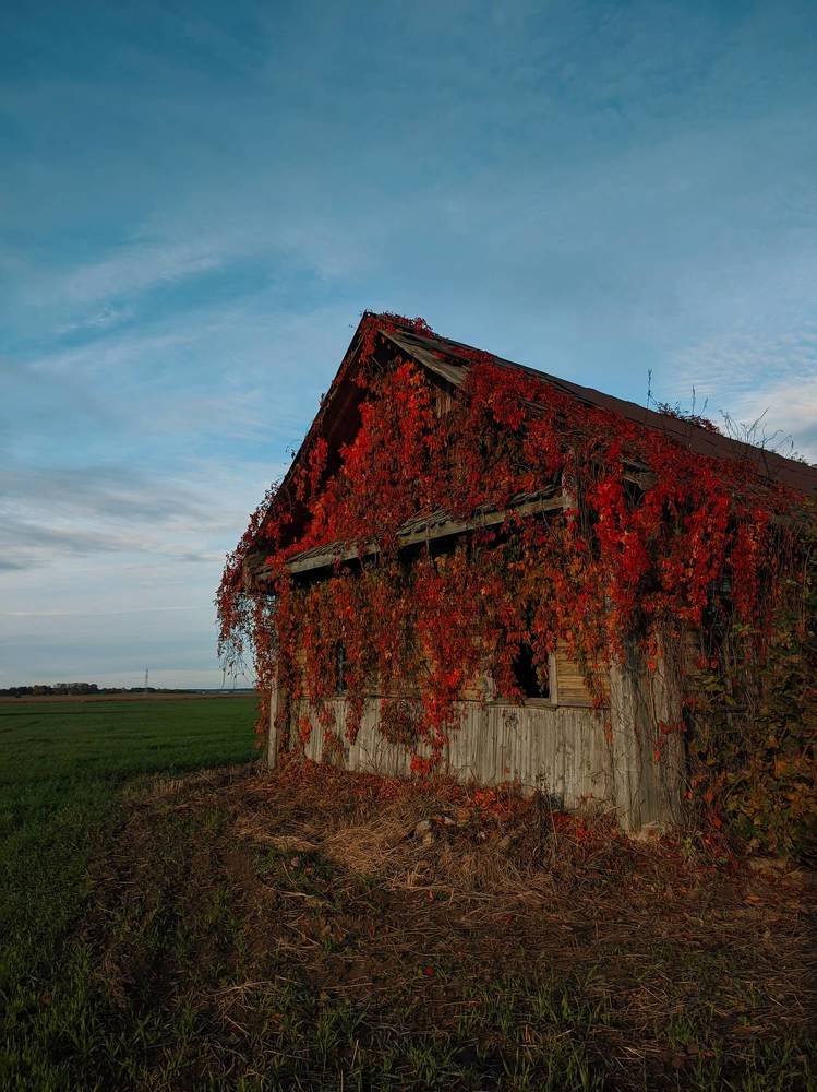 Photograph by Владимир Заборонок