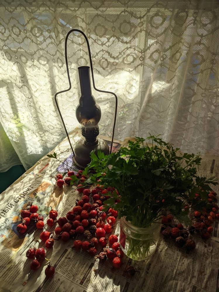 Photograph by Владимир Заборонок