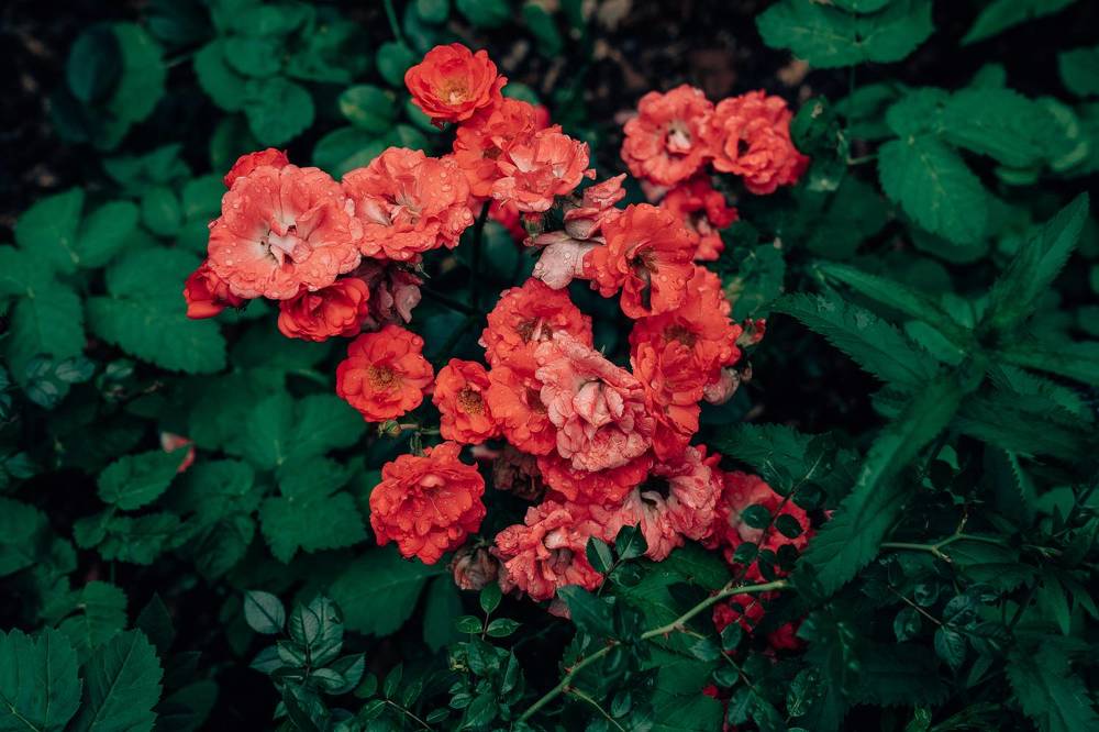 Photograph by Натали Захарова (Тай)