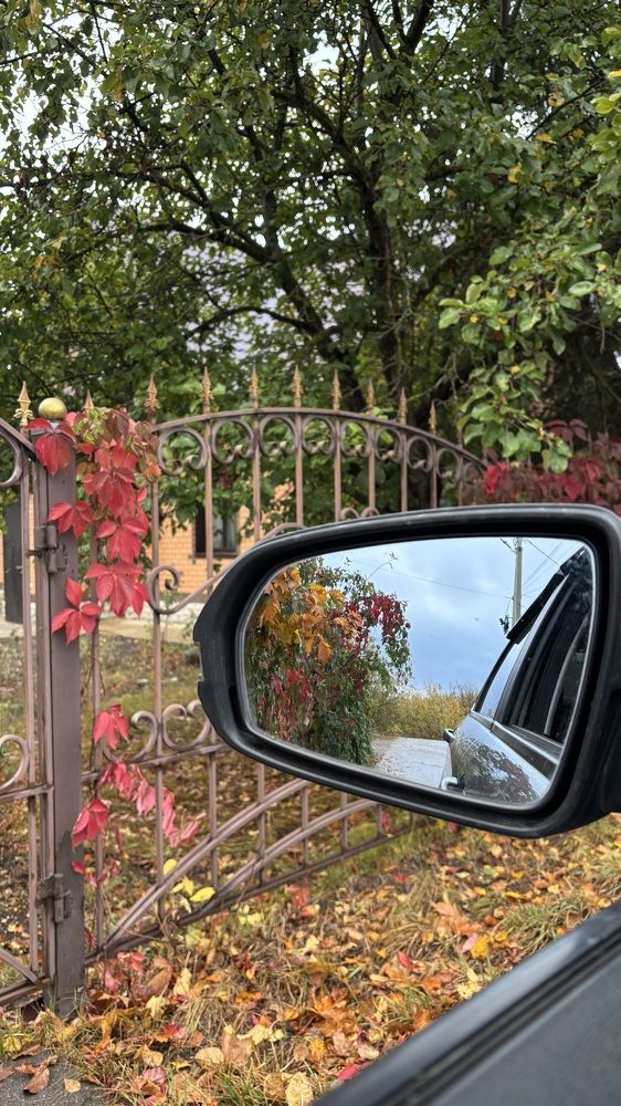 Photograph by Елена Гущина