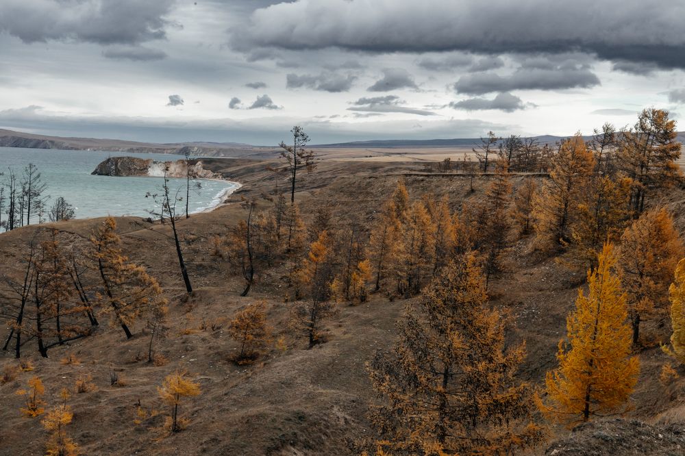 Photograph by Наталия Софич