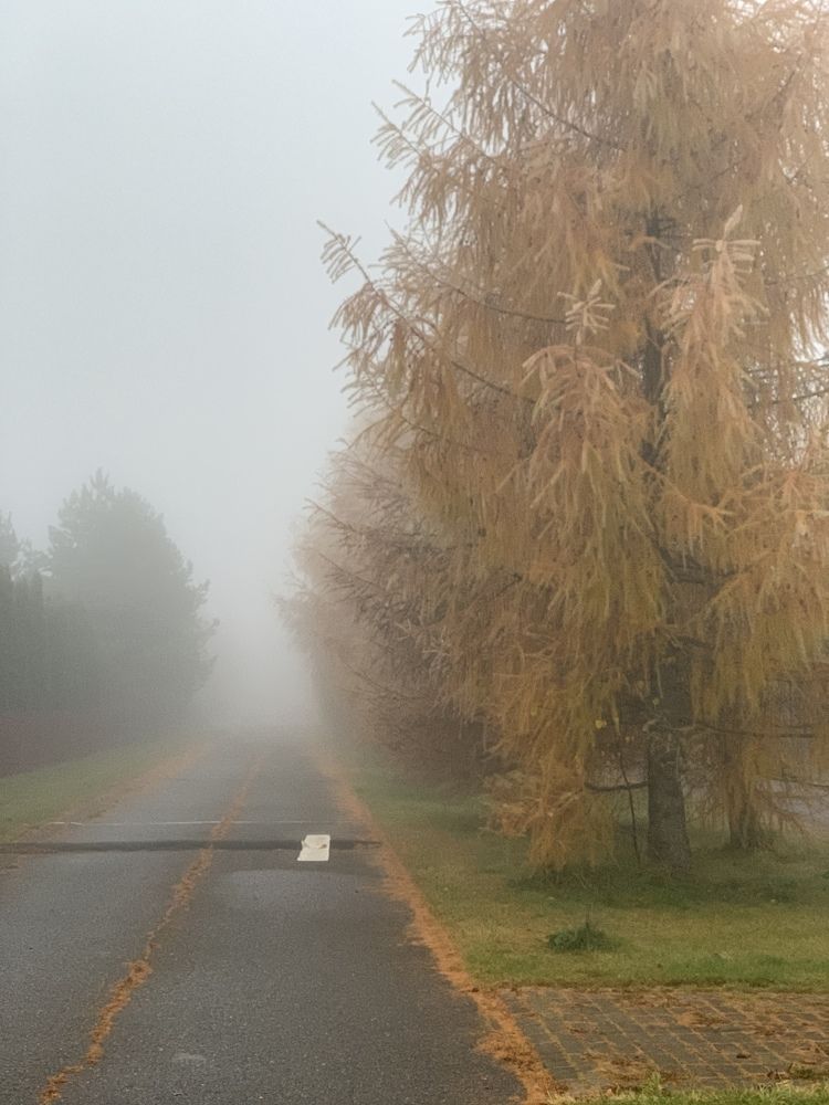 Photograph by Светлана