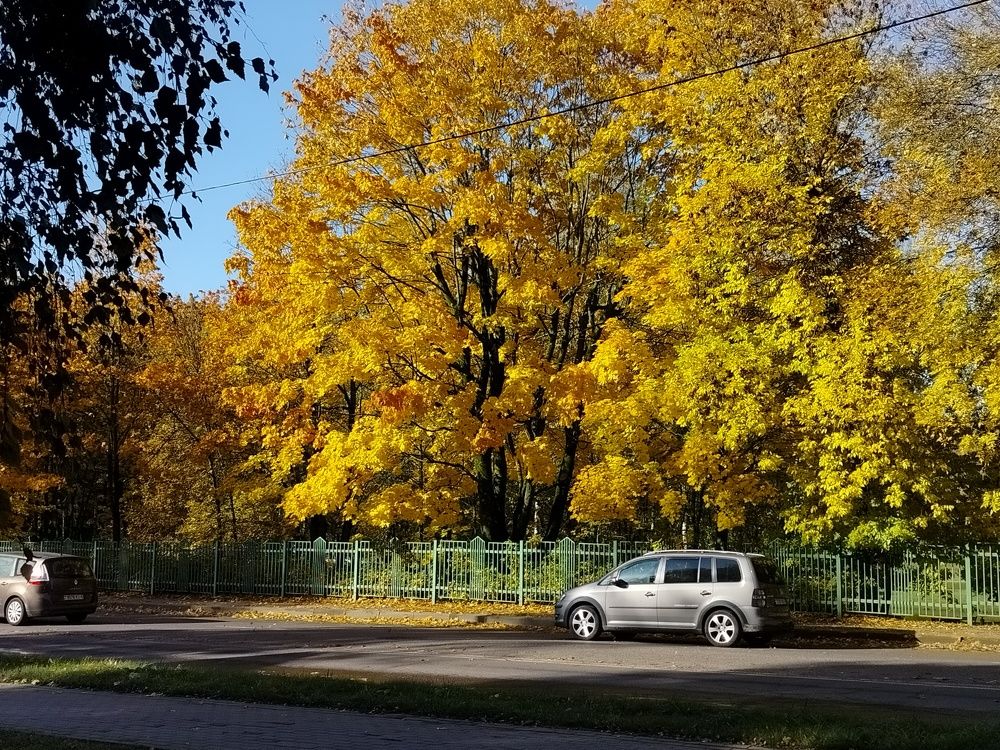 Фотография автора Алина