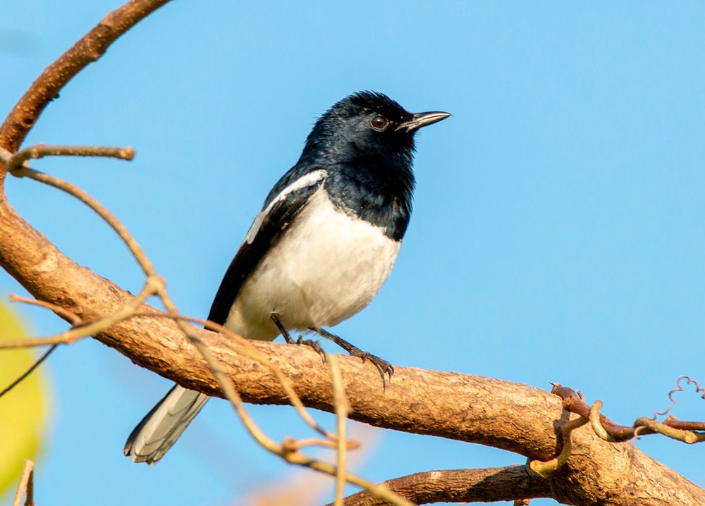 Фотография автора Людмила Прокофьева