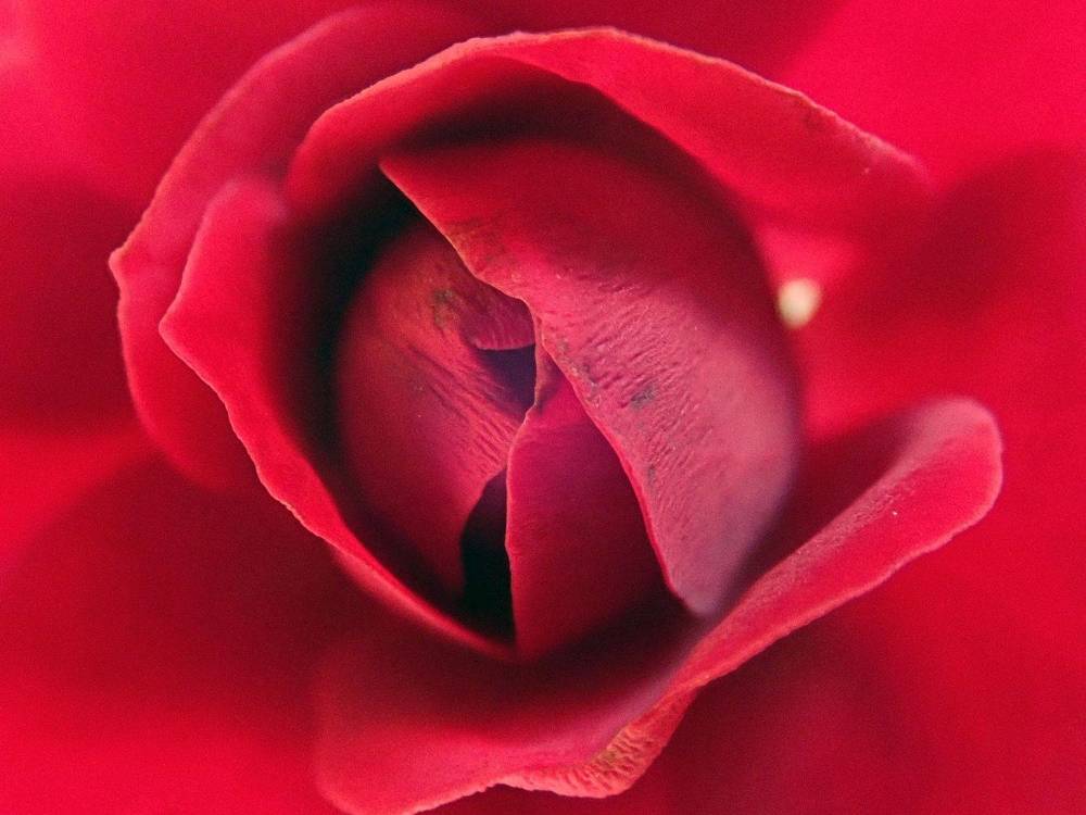 Photograph by Алексей Амилющенко