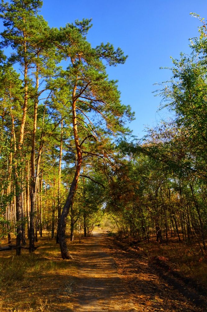 Photograph by Михаил Пасынков