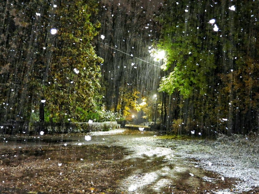 Photograph by Александр Шаварин