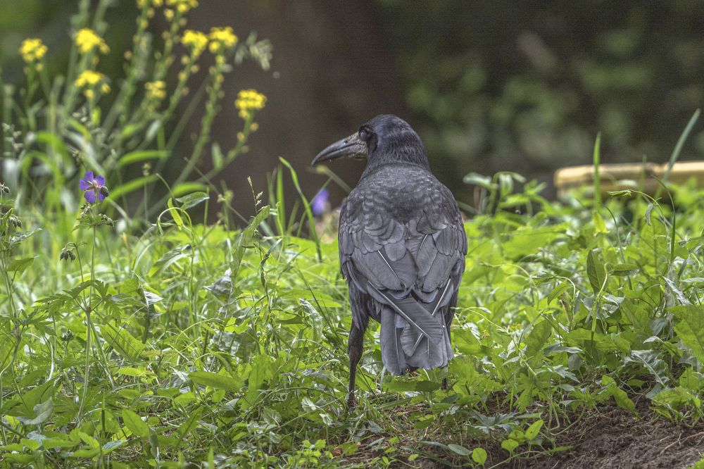 Photograph by Надежда Михайлина
