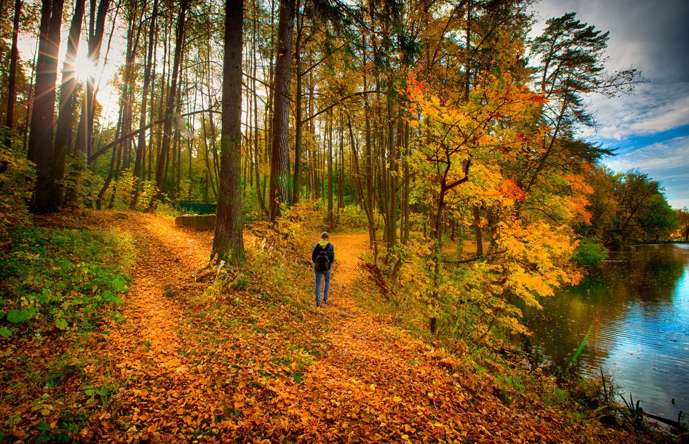 Фотография автора Людмила Прокофьева