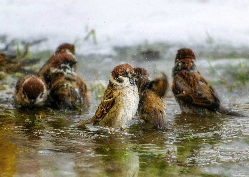 Photograph by Margarita