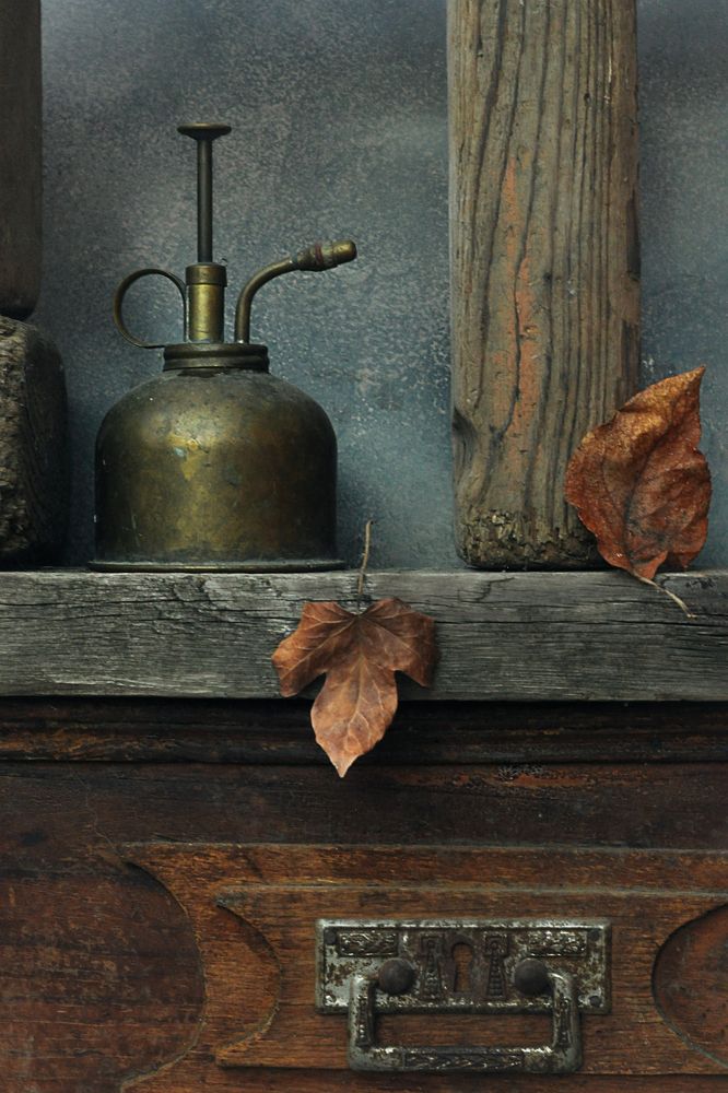 Photograph by Рыжова Александра