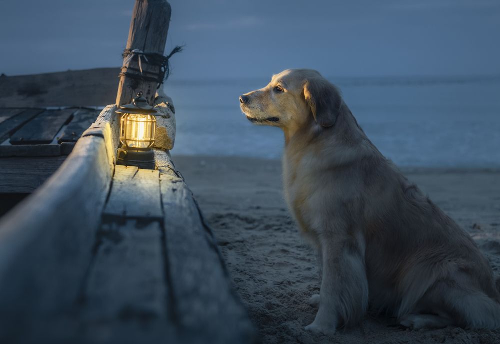 Photograph by He Huapei