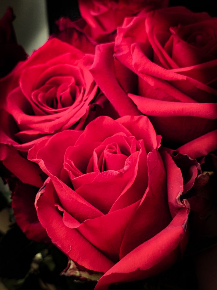 Photograph by Наталия