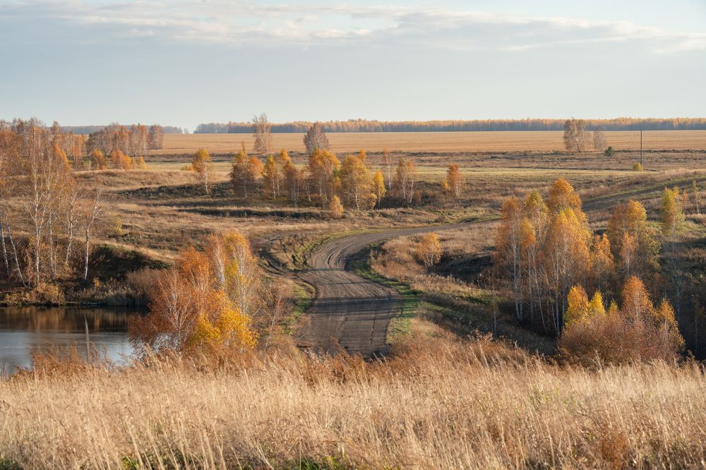 Photograph by Андрей Гусаров