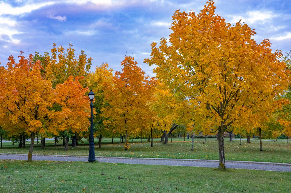 Пушкинская осень