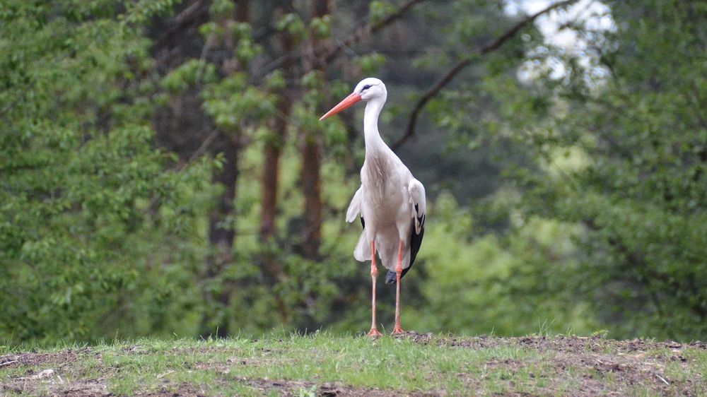 Photograph by Oleksandr Podust