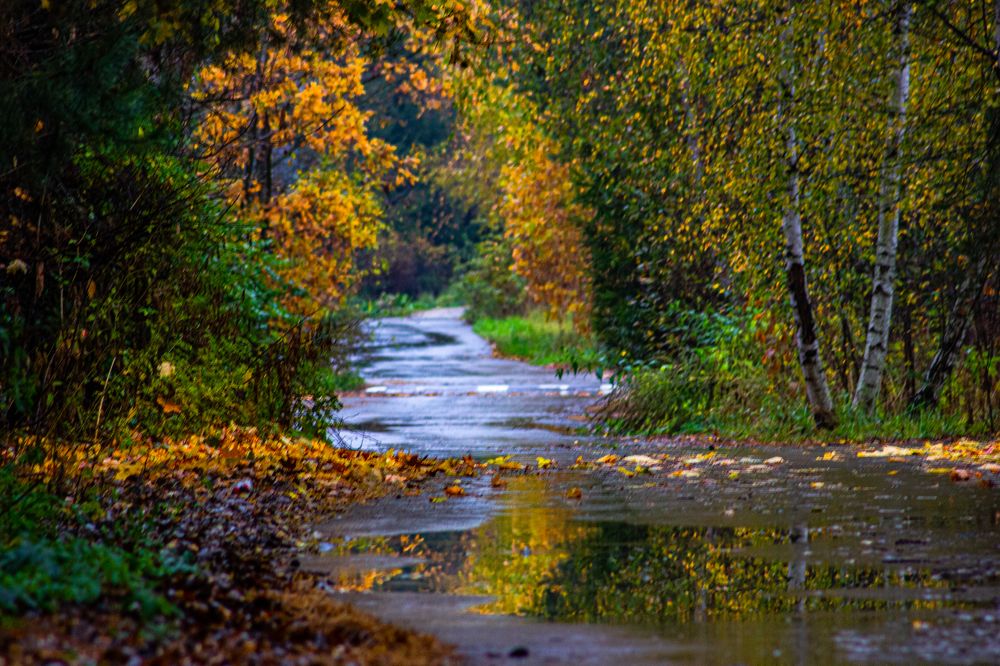 Фотография автора Ирина Гриценко